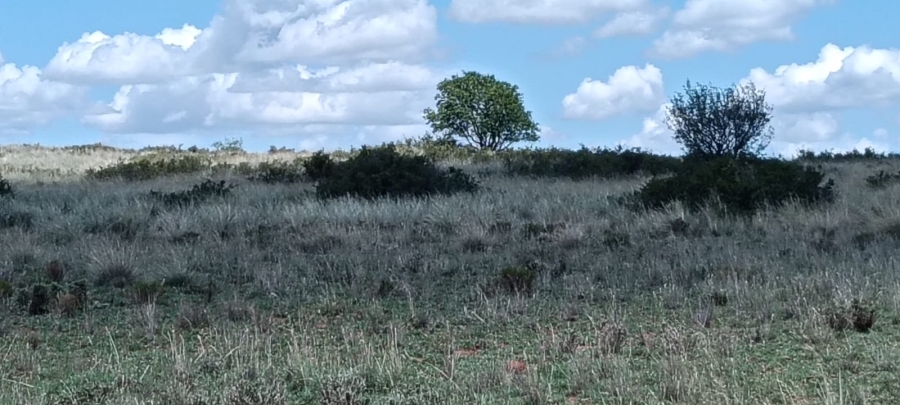 3 Bedroom Property for Sale in Bloemfontein Rural Free State